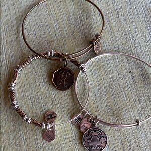 Alex and Ani Bronze and Silver Charm Bracelet Set